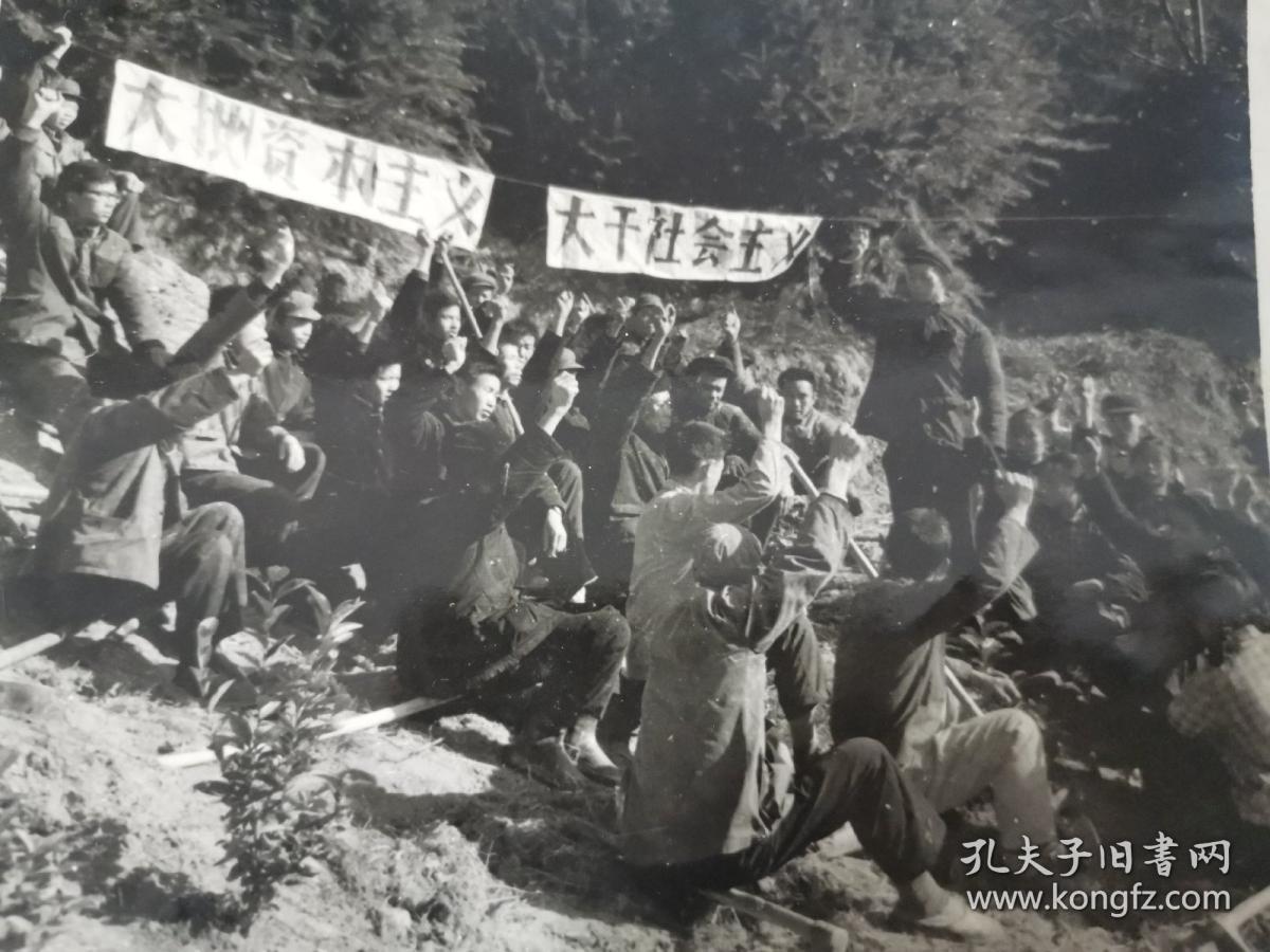 建国初期大跃进时期 谷霁光率领学生劳动场景 热火朝天 欣欣向荣 建设