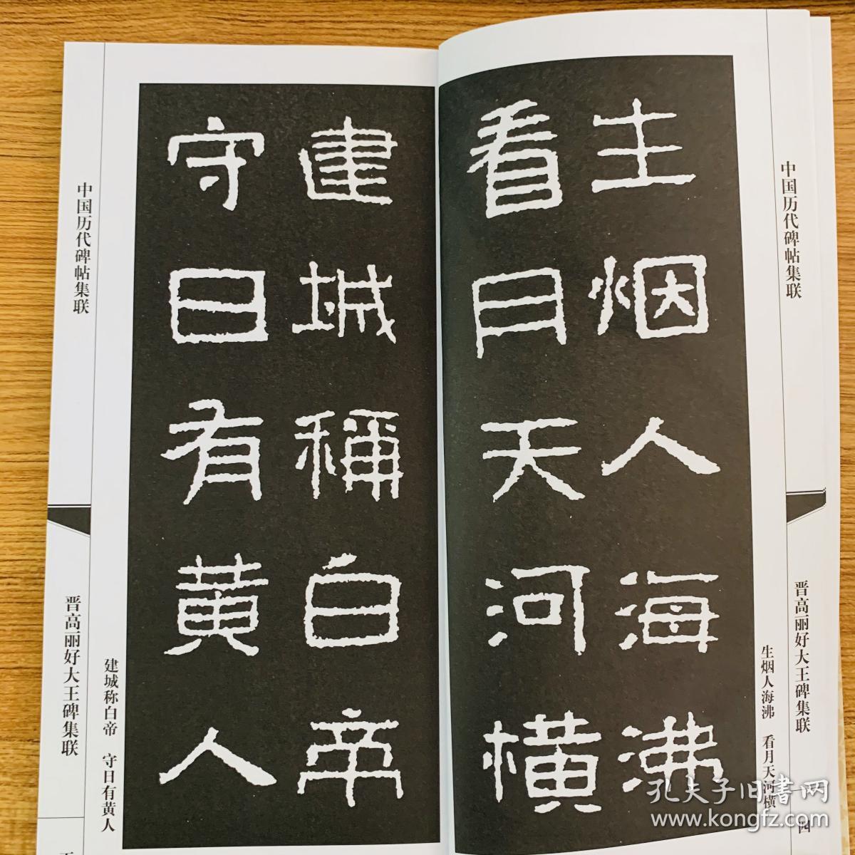 中国历代碑帖集联:晋高丽好大王碑集联