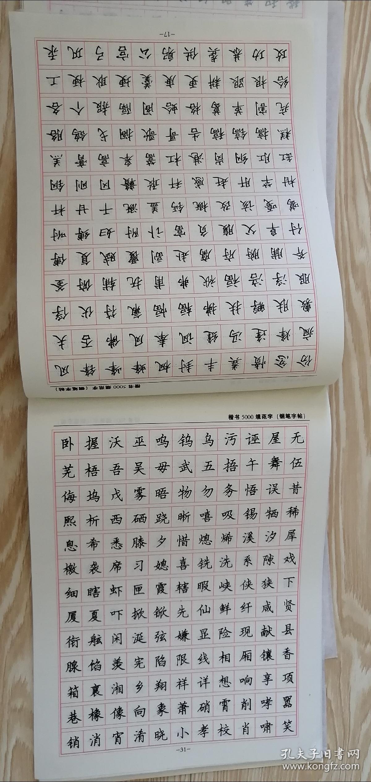 楷书5000规范字钢笔字帖"青少年硬笔书法速成字帖"