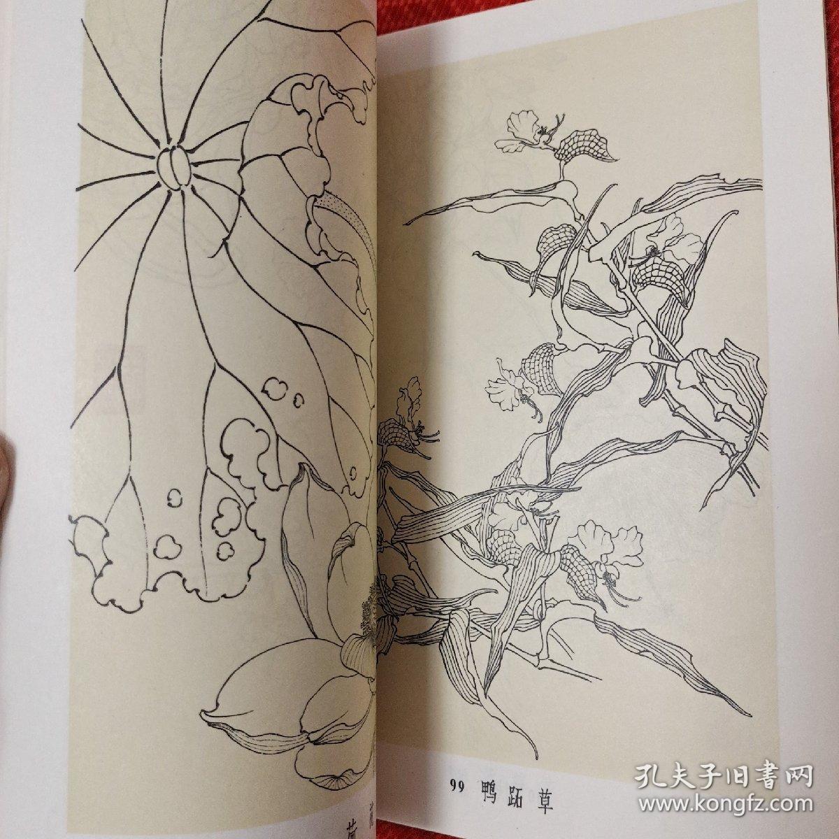 姜毅然白描花卉集
