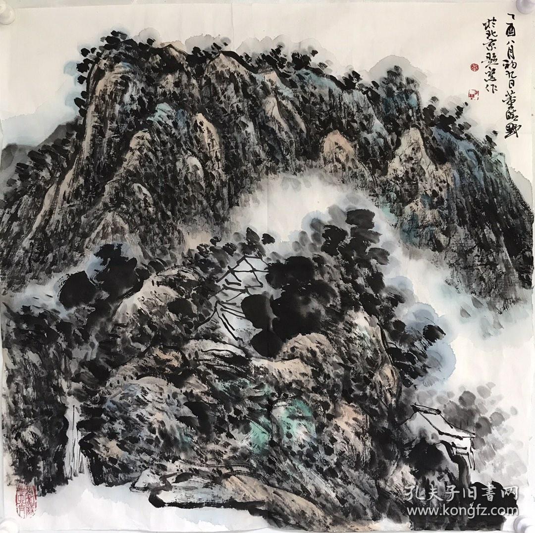 董晴野 国画 【卖家包邮】 纯手绘 自鉴
