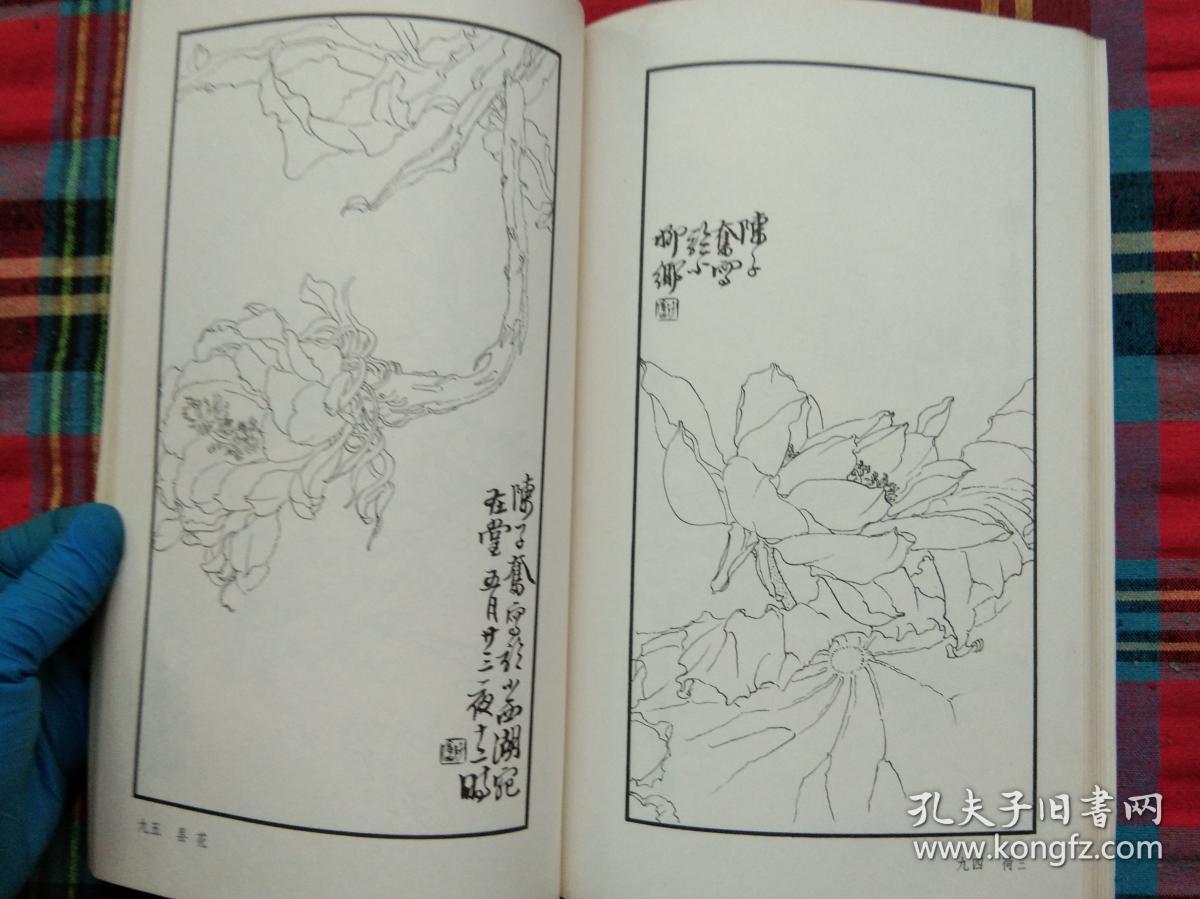 陈子奋白描花卉册【封面残如图】