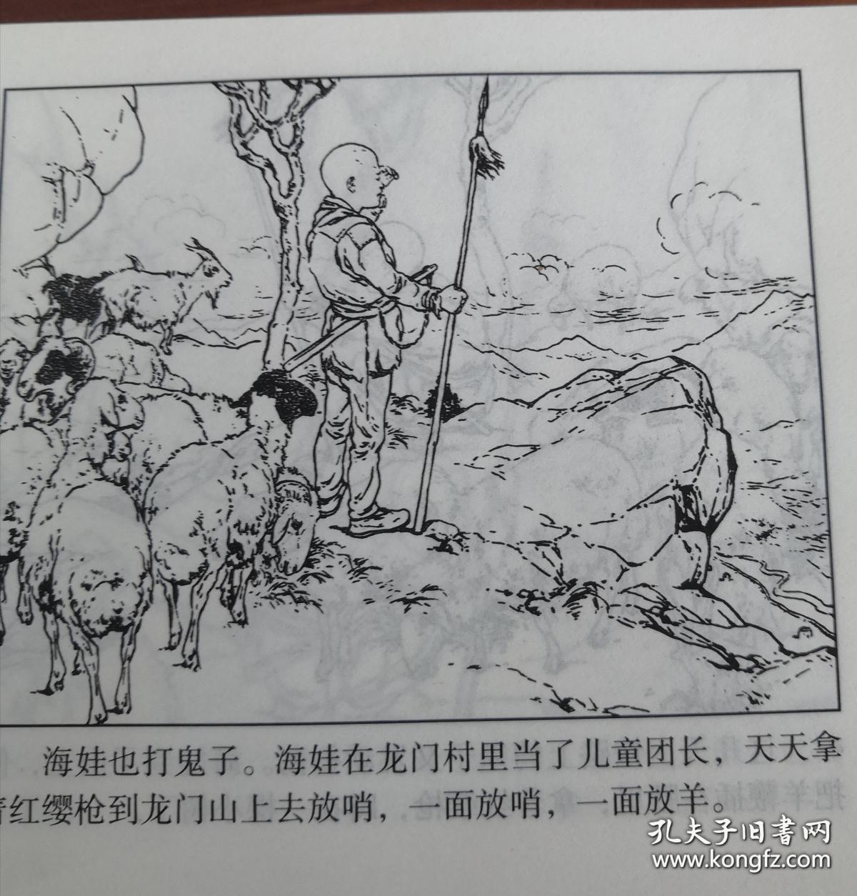 鸡毛信(12元包邮挂)