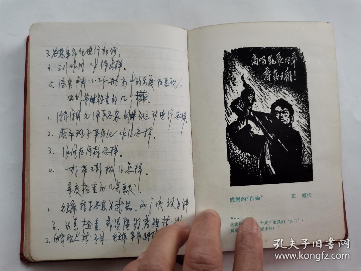 内画页-血债 华蓥山纵队司令 胜利的消息 李敬原与成的会见 许云峰