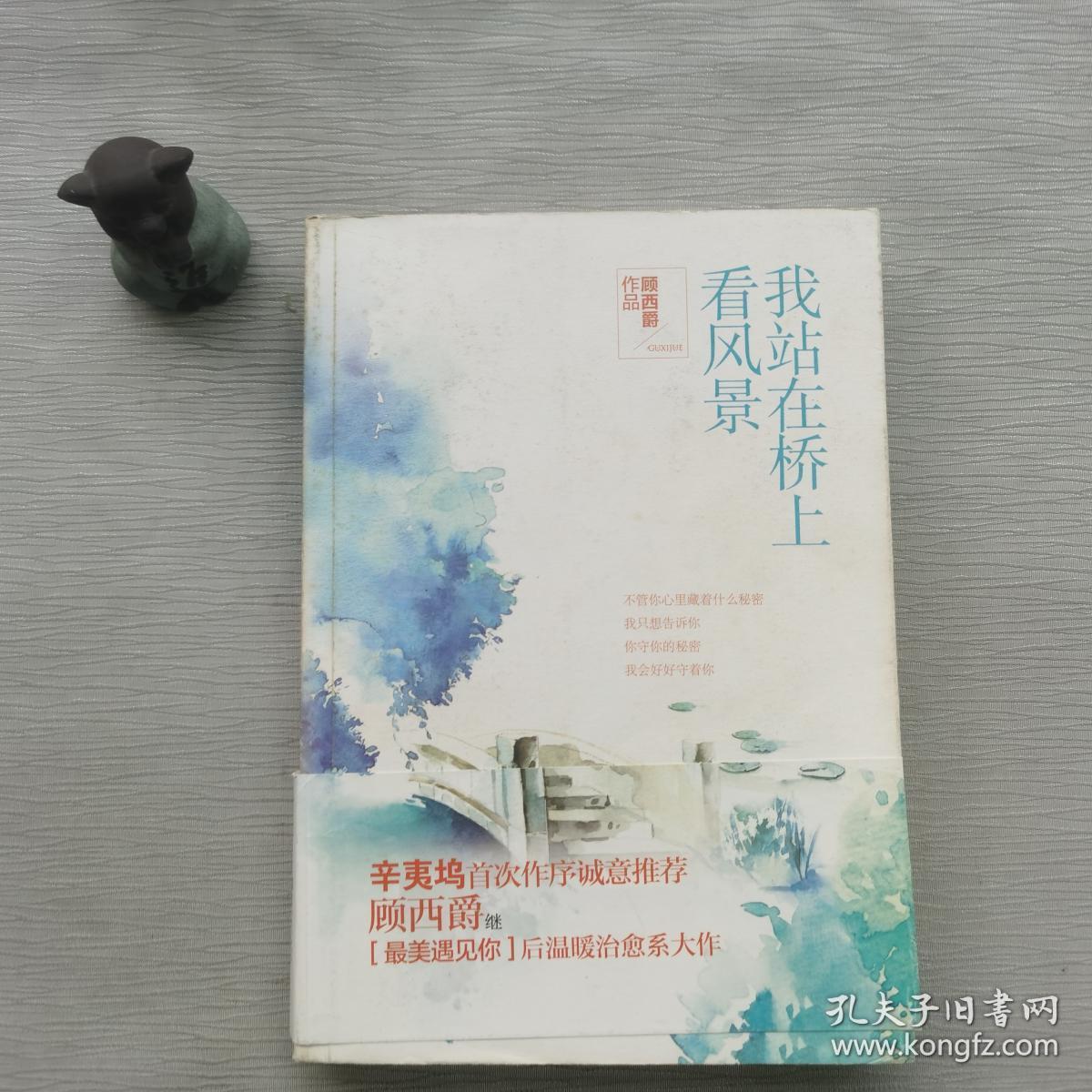 我站在桥上看风景