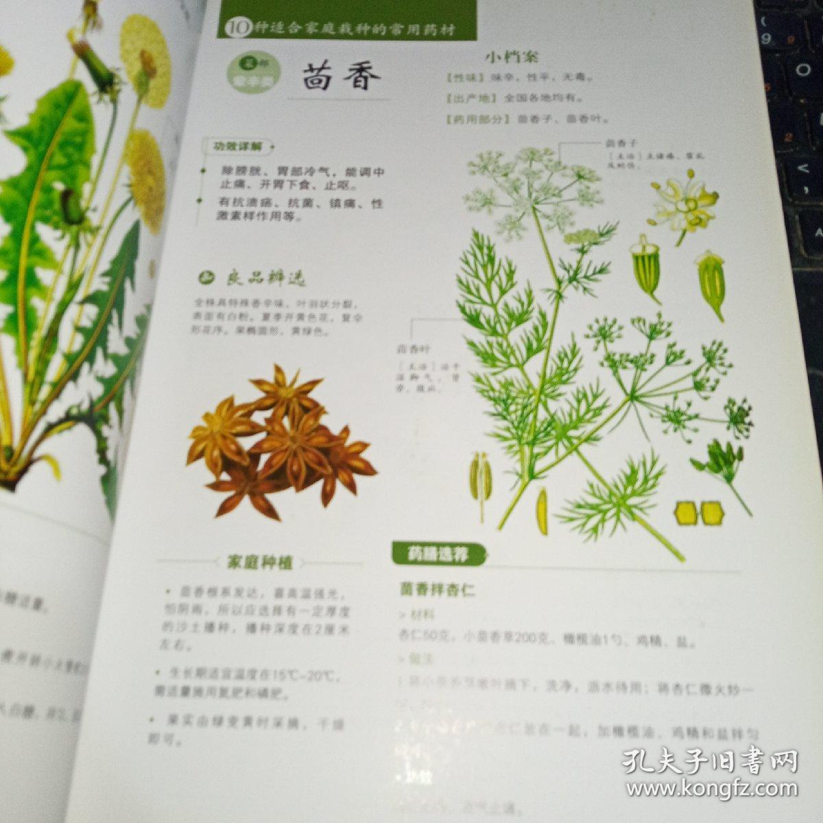 图解本草纲目·黄帝内经对症药膳速查全书