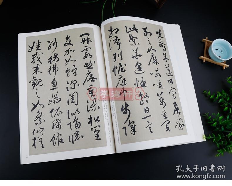 王冬梅 繁体旁注 祝枝山行草书毛笔字帖书籍书法成人学生临摹帖练习古
