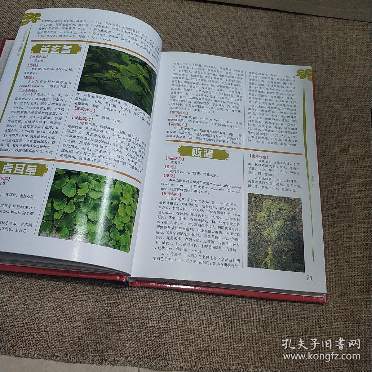 百草良方彩色图鉴(铜版纸彩图精装)