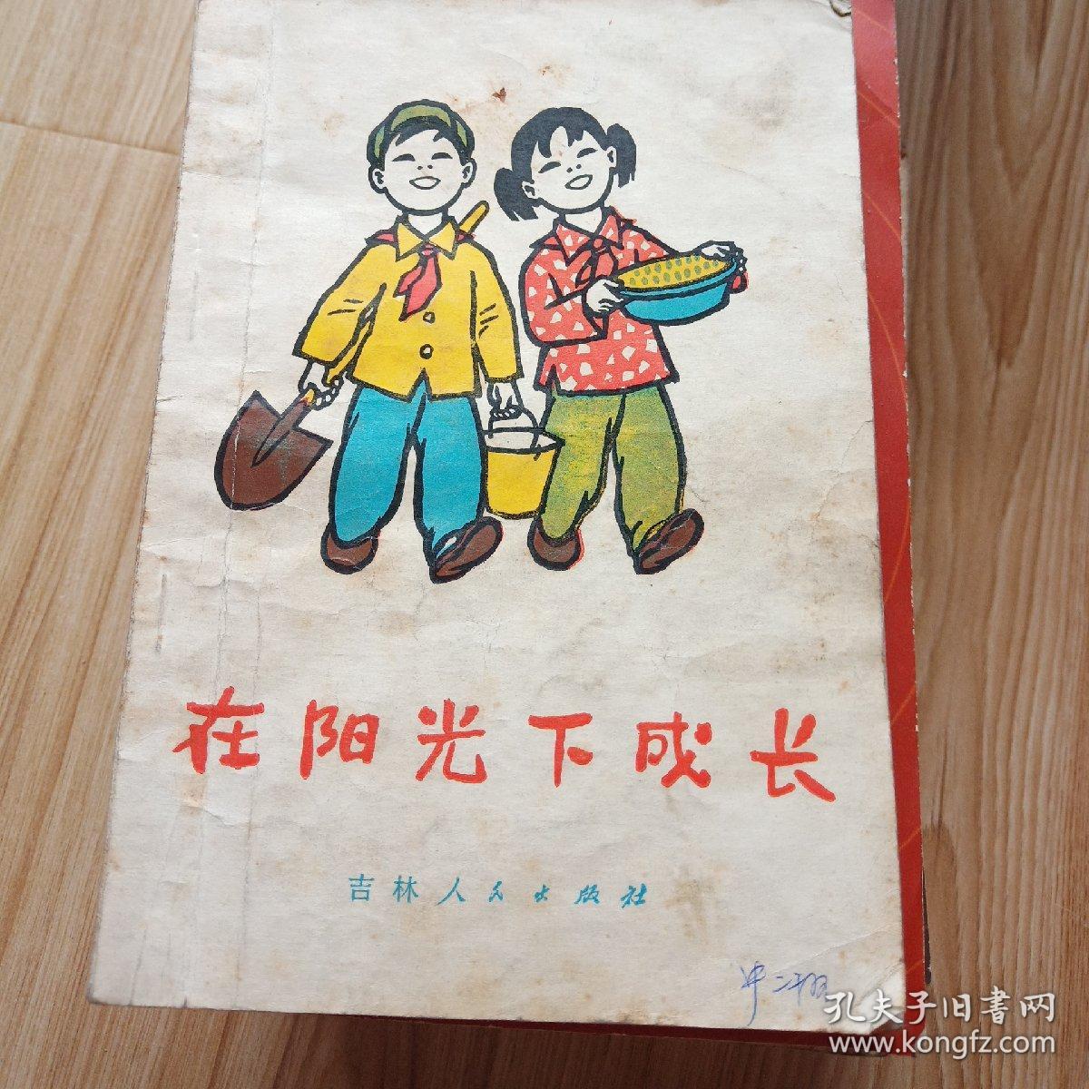 在阳光下成长