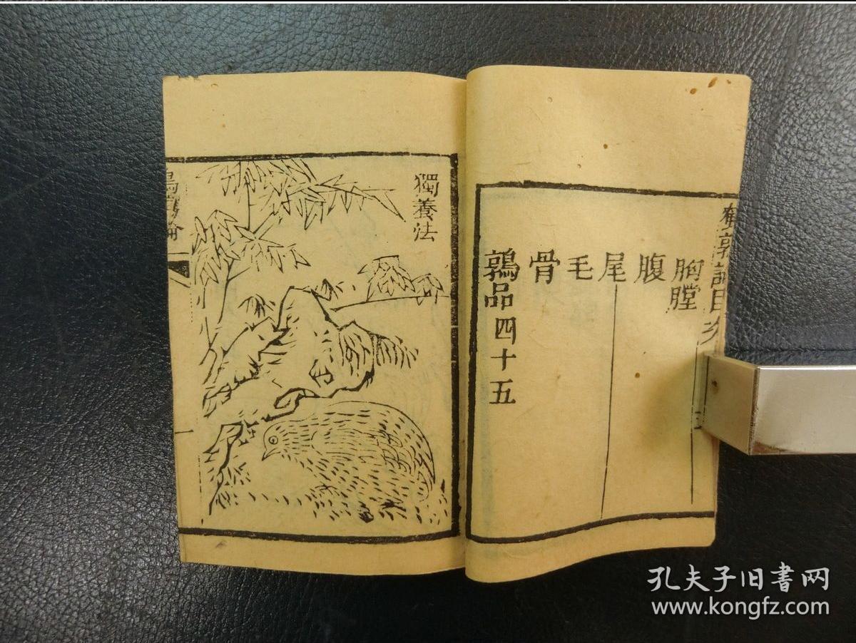 黄头志99鹤鹑论2册
