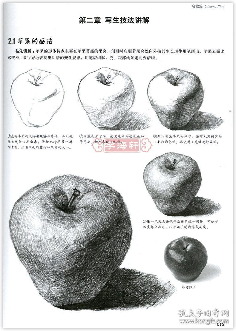 学海轩共4本零基础素描教程启蒙篇动物篇静物篇速写教程风景篇成人