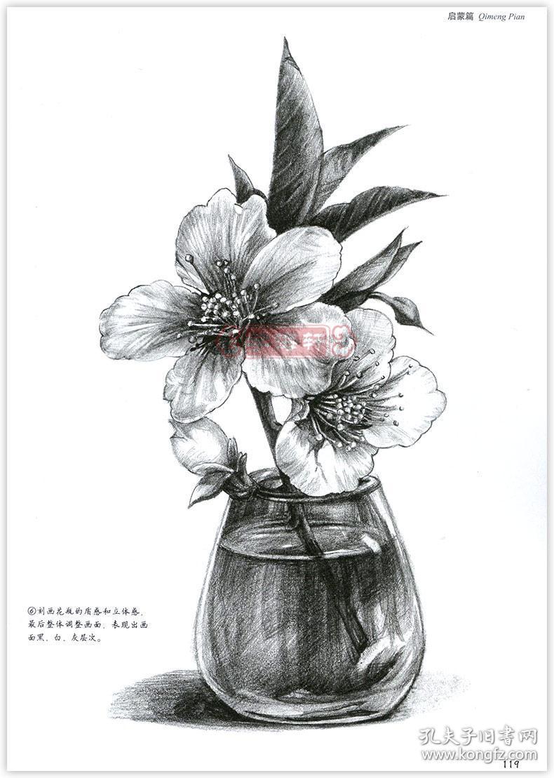 启蒙篇动物篇静物篇 速写教程风景篇 成人学生素描自学入门教程临摹