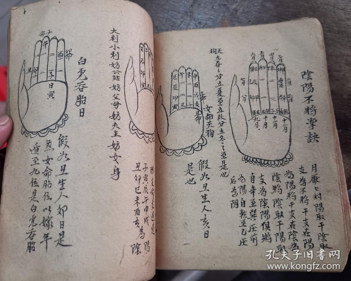 清代手写地理秘籍,廖金精鳌极掌诀,选择总诀,12地支起