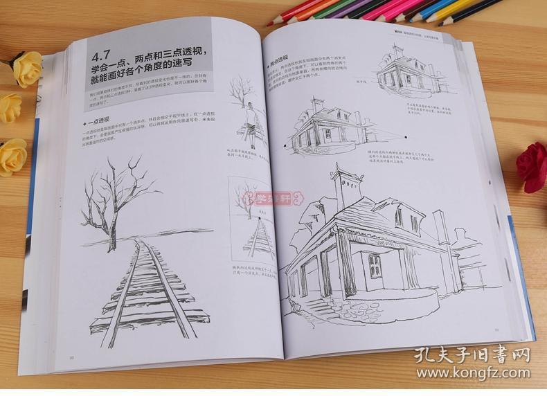速写入门自学教程 零基础从临摹到写生 飞乐鸟 成人学生基础素描绘画