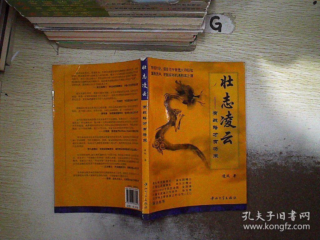 壮志凌云:有战略才有将来.