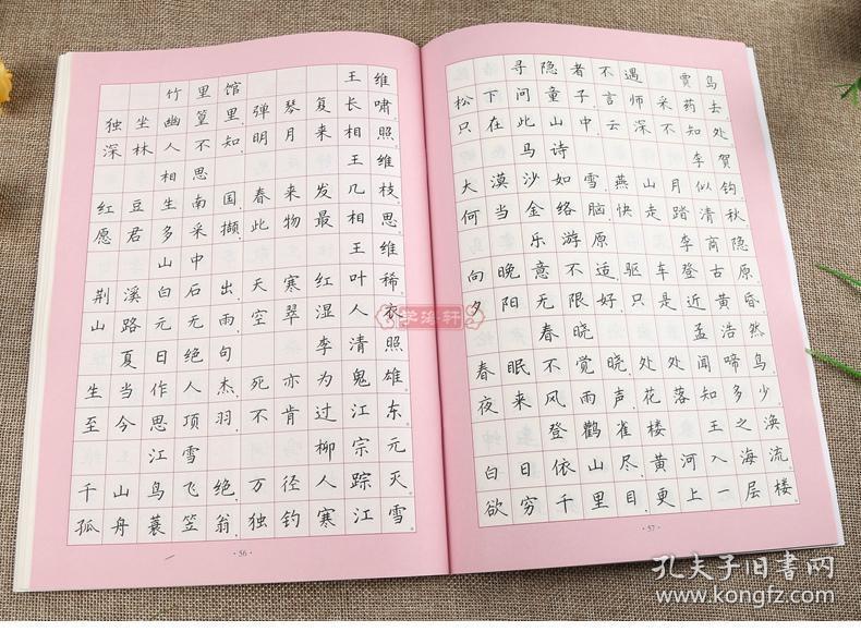 硬笔楷书入门教程 技法图解 卫红著 成人学生钢笔书法基础教材临摹