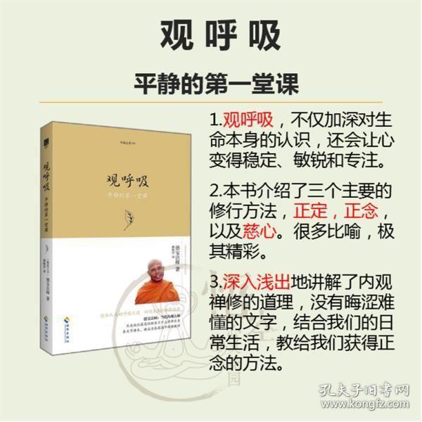 你可以不生气 禅者的初心1 2 内观 观呼吸 八正道 一行禅师 德宝法师