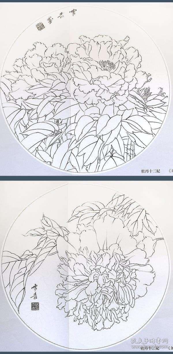 小品白描画稿 工笔牡丹 龚雪青 牡丹十二妃 国画作品中运用工笔画技巧