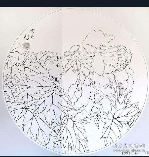 小品白描画稿 工笔牡丹 龚雪青 牡丹十二妃 国画作品中运用工笔画技巧