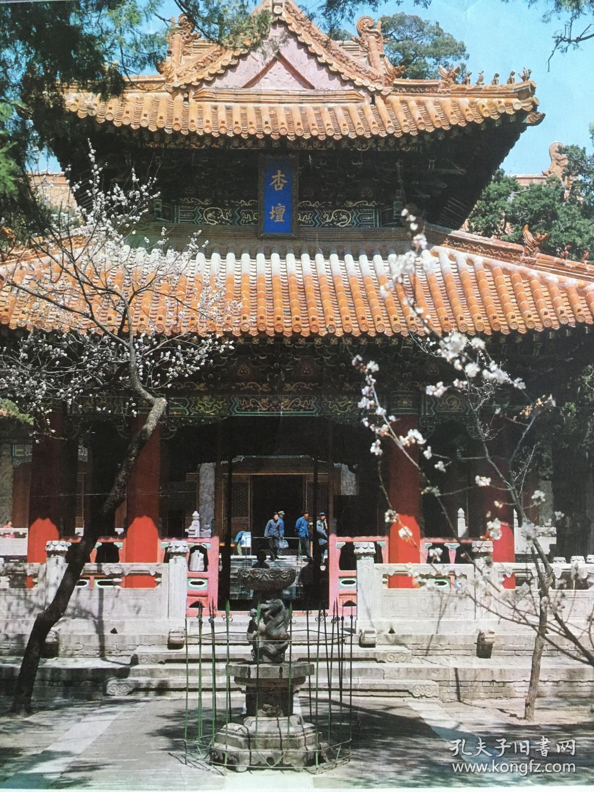 孔子讲学的地方#每日一更 1981年 品相如图 尺寸四开 杏坛 相传孔子