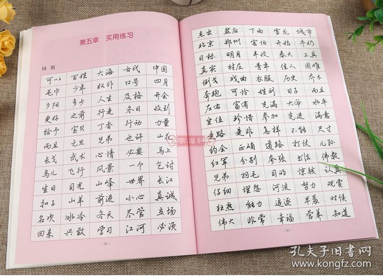 技法图解 卫红著 成人学生钢笔书法基础教材临摹字帖笔法训练讲解偏旁