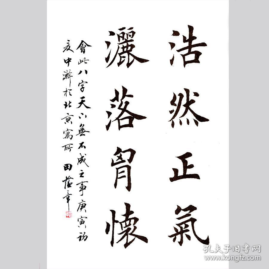 田蕴章书法字画浩然正气