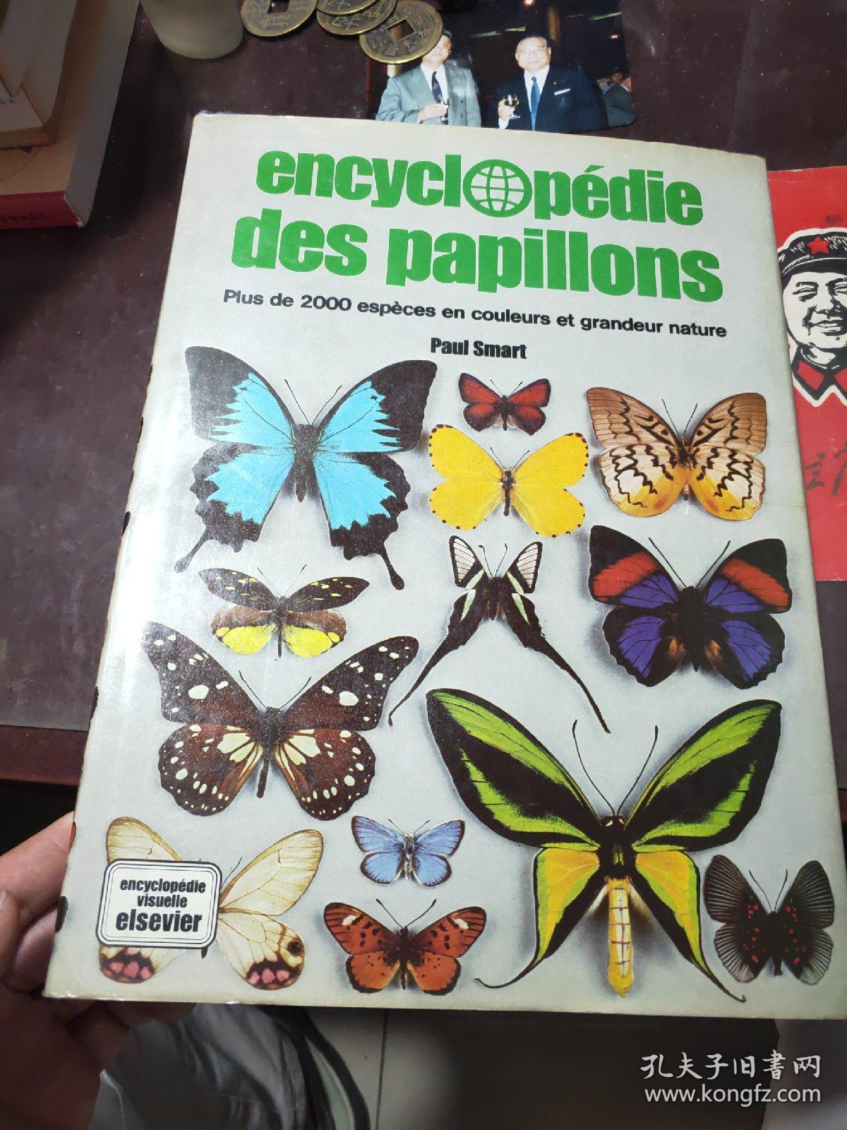 encyclopédie des papillon 蝴蝶百科全书