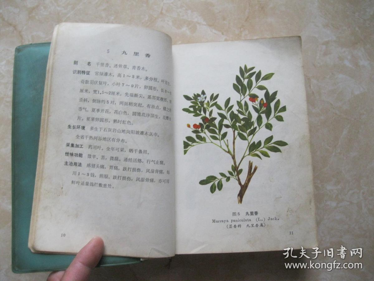 云南中草药选