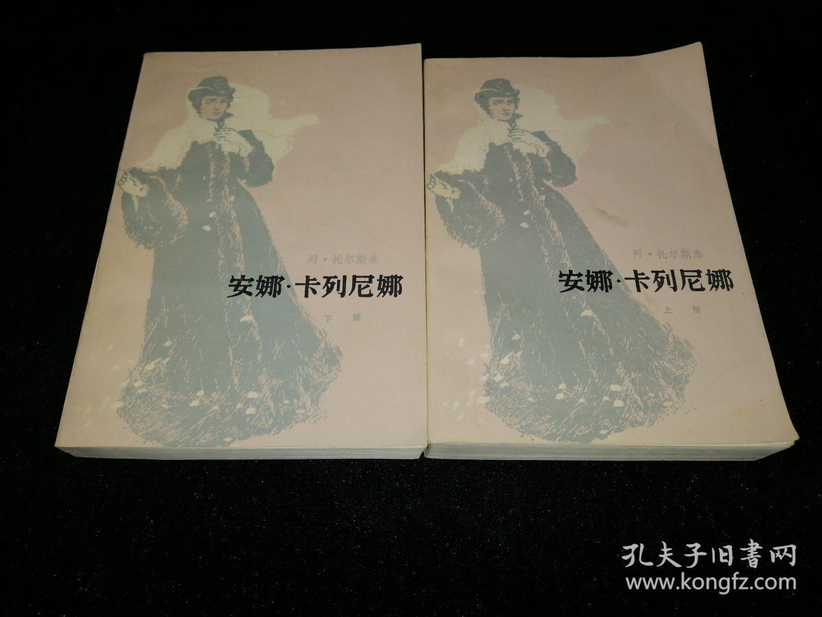 安娜卡列尼娜 ( 上下册)