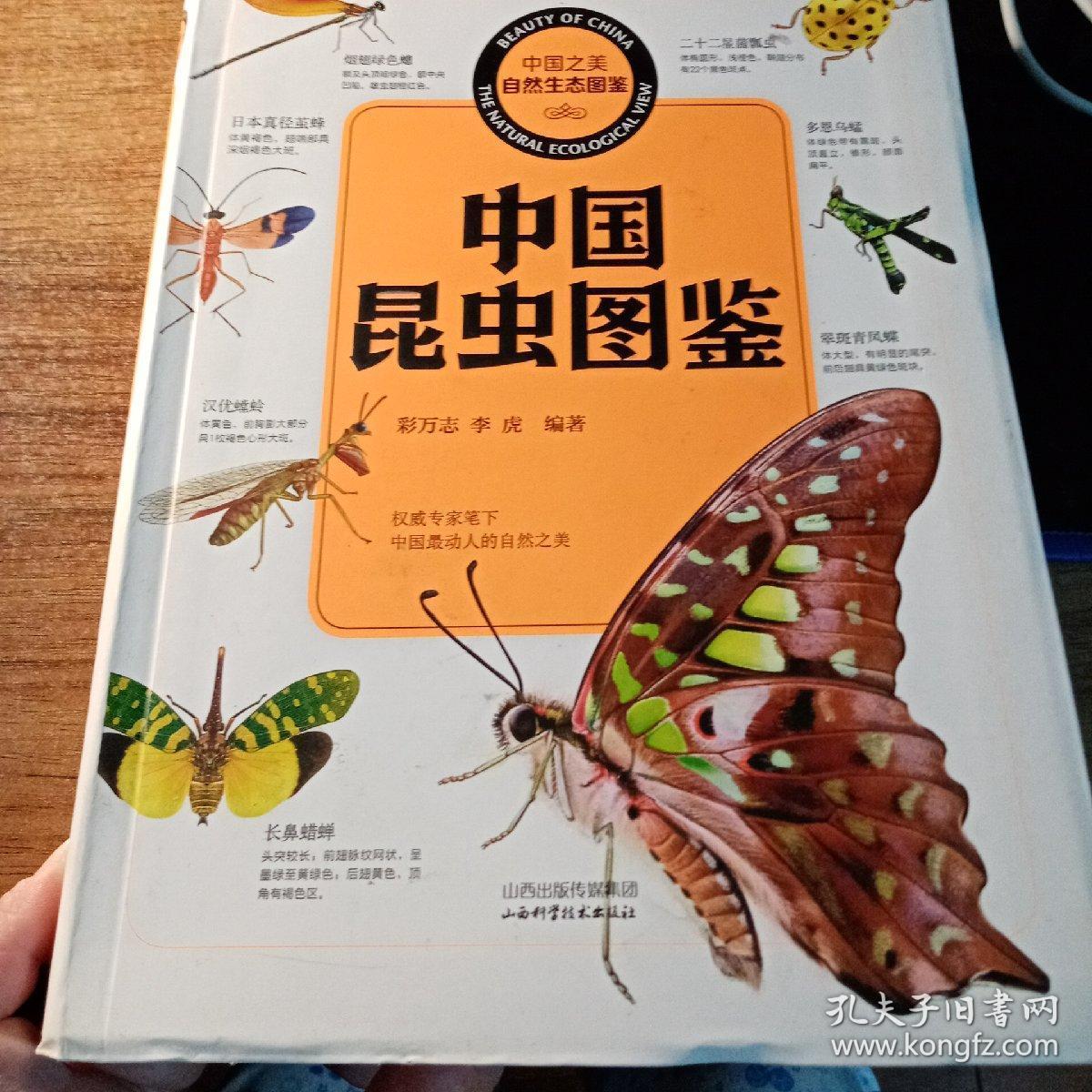 中国昆虫图鉴