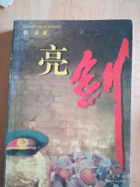 亮剑(都梁 著)_简介_价格_小说书籍_孔网