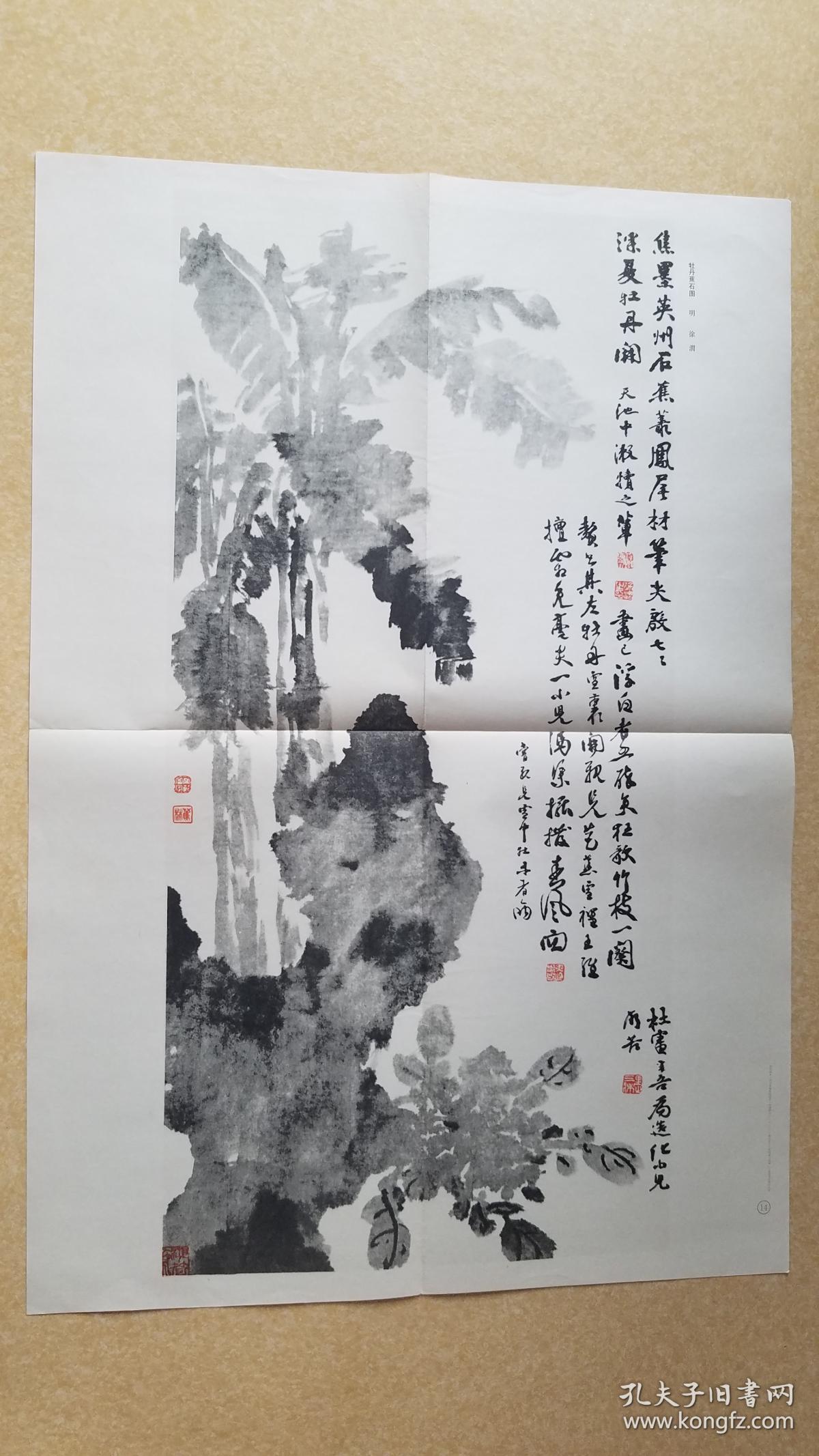 牡丹蕉石图(历代美术作品欣赏)(对开)_(明)徐渭 绘_孔