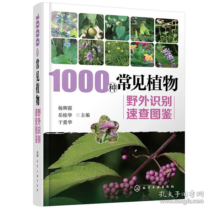 1000种常见植物野外识别速查图鉴 图解中草药大全 家庭书籍野外识别原