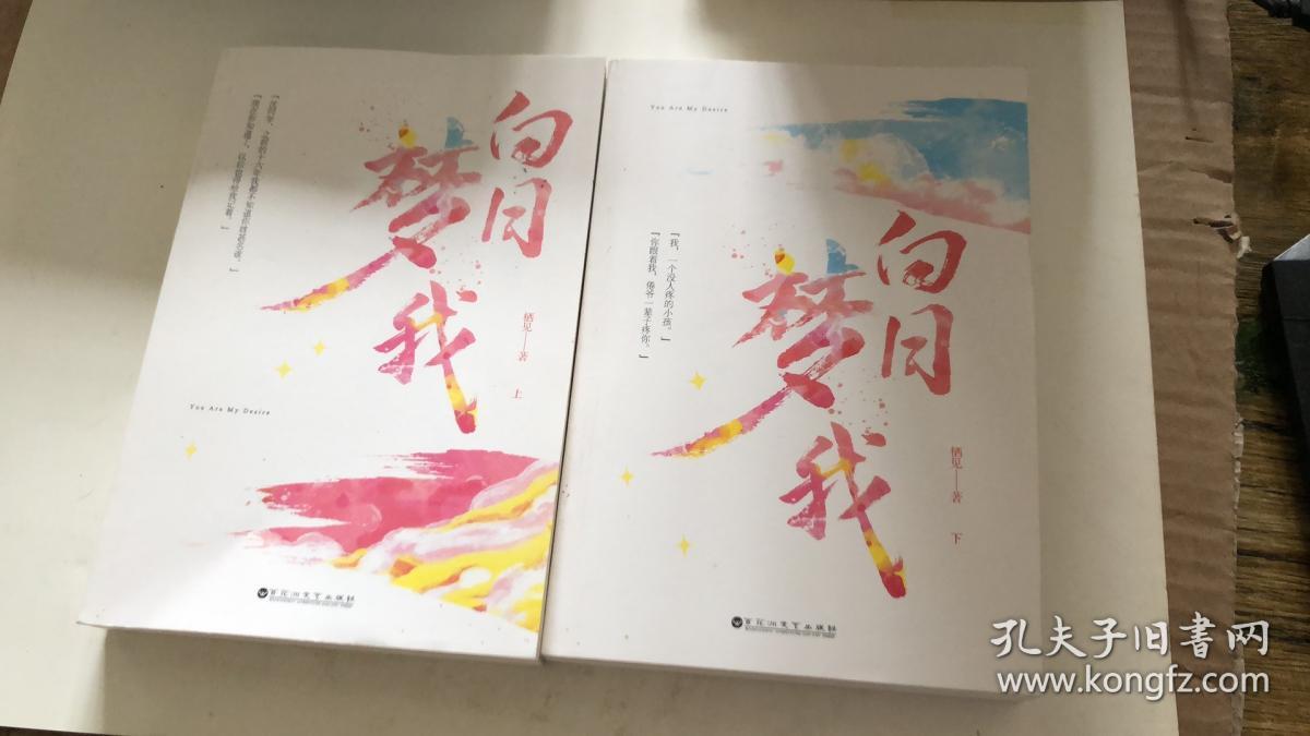 白日梦我 上下册 无笔记 2020印