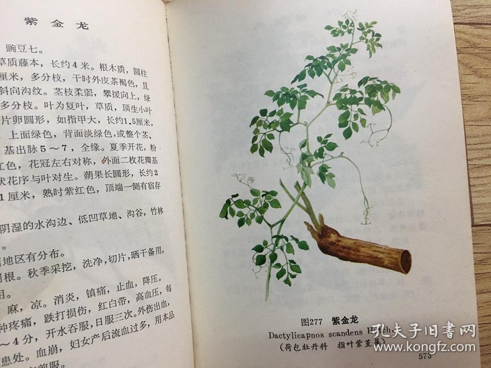 云南中草药选 彩色 林题完整