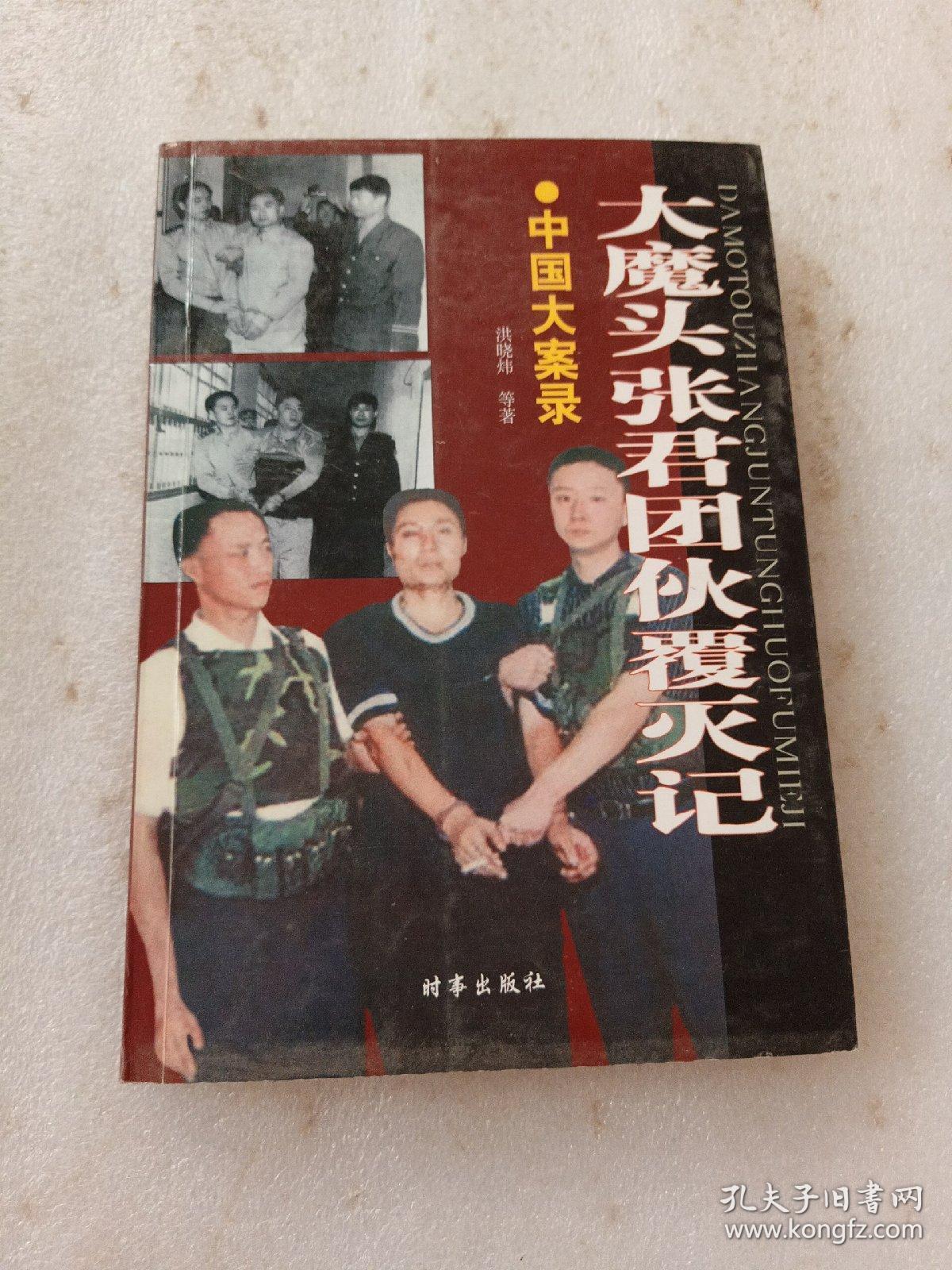 中国大案录--大魔头张君团伙覆灭记