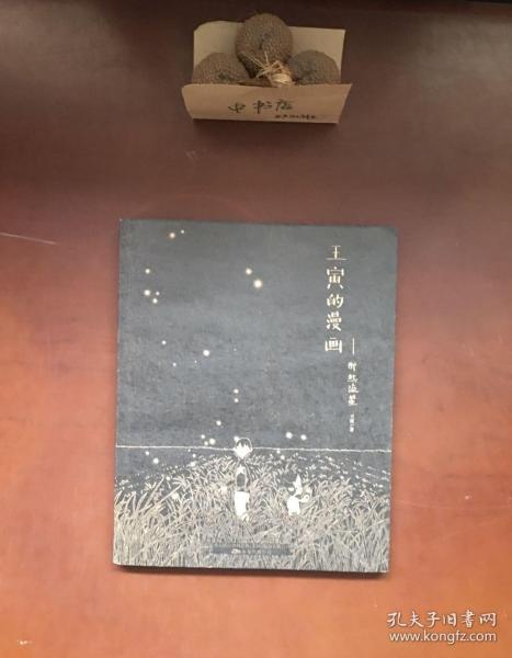 王寅的漫画:那些流星