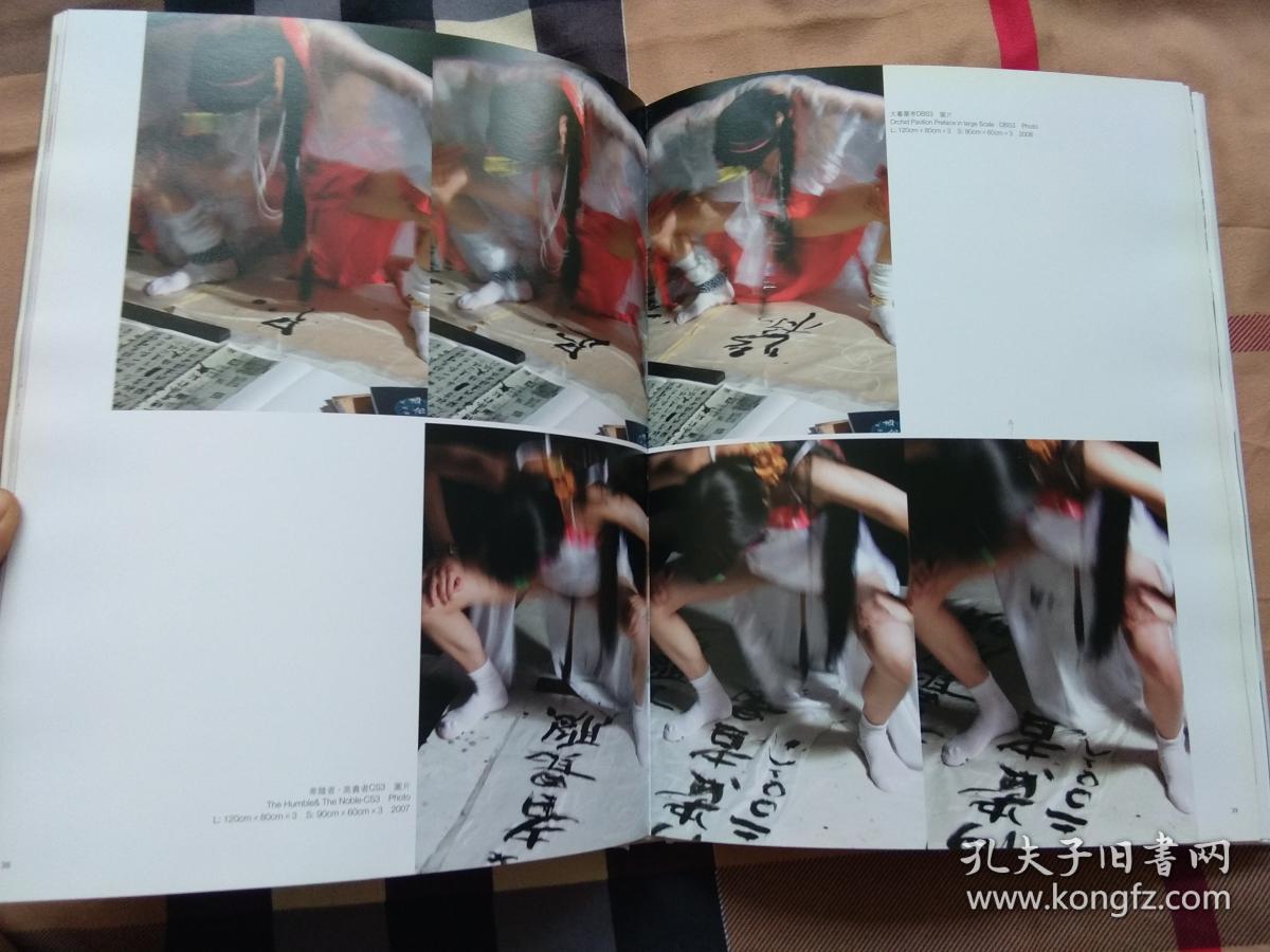 孙平1989—2009(艺术作品集,《不知道》《水》《收购梦想》《中国针灸