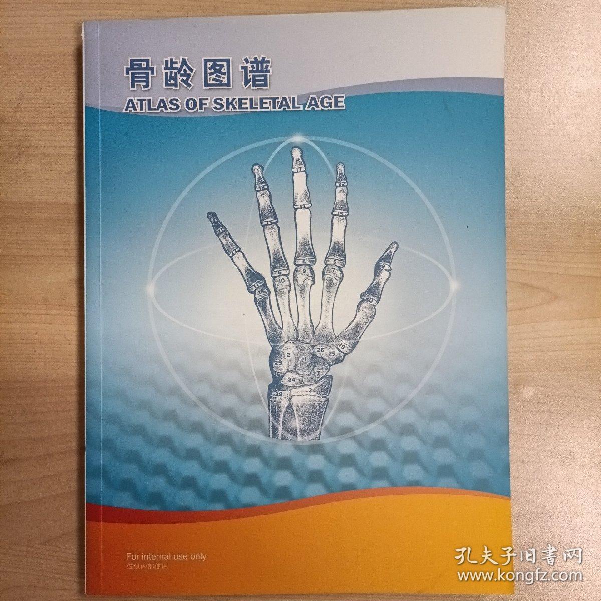 中国人手腕部骨龄标准:中华05及其应用