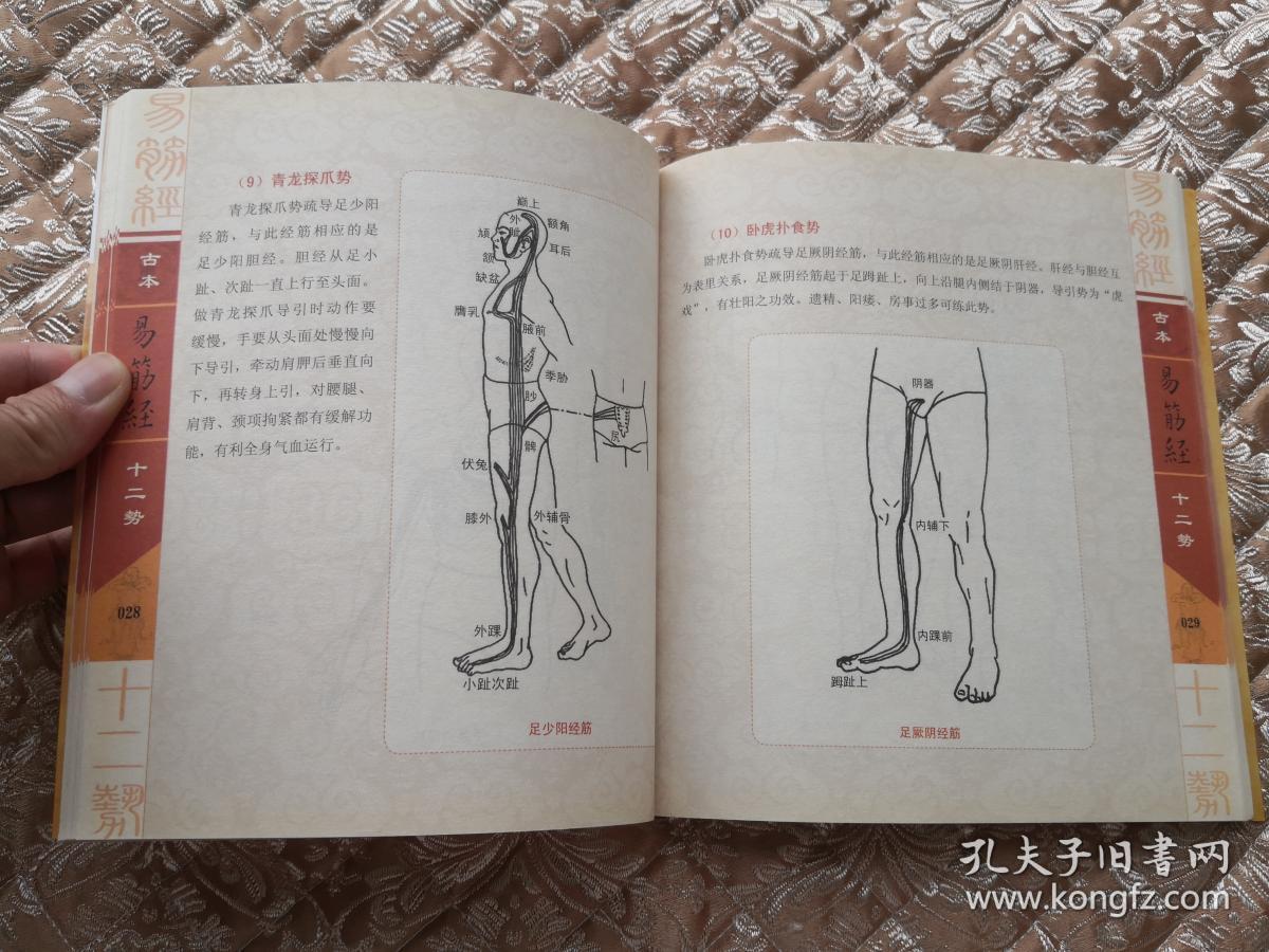 古本易筋经十二势导引法(含光盘 挂图)实物拍照 按图发货【正版原版