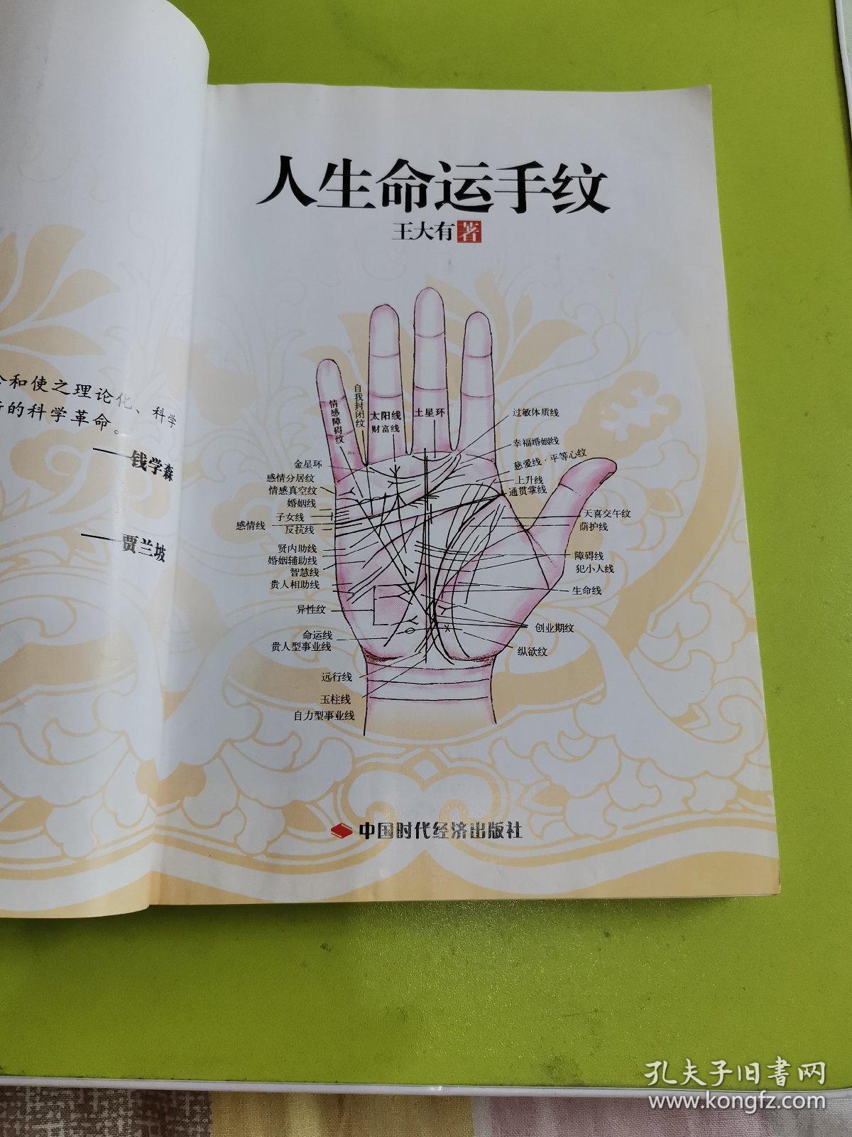 王大有手经(第3卷:人生命运手纹