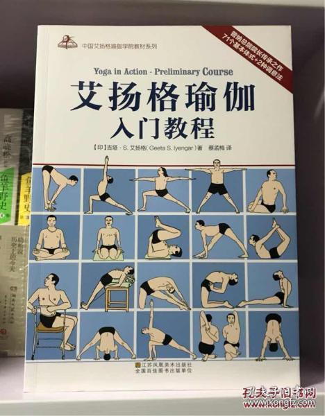 艾扬格瑜伽入门教程( 中国艾扬格瑜伽学院教材系列 )