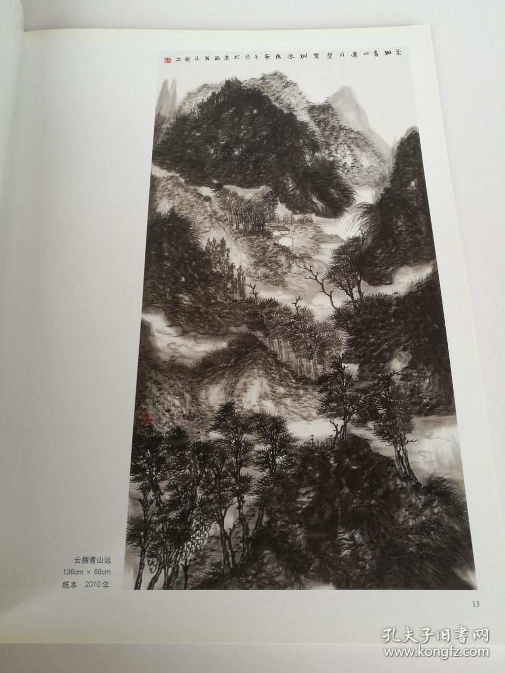 21世纪有影响力画家个案研究 张雨 水墨山水画集 库存