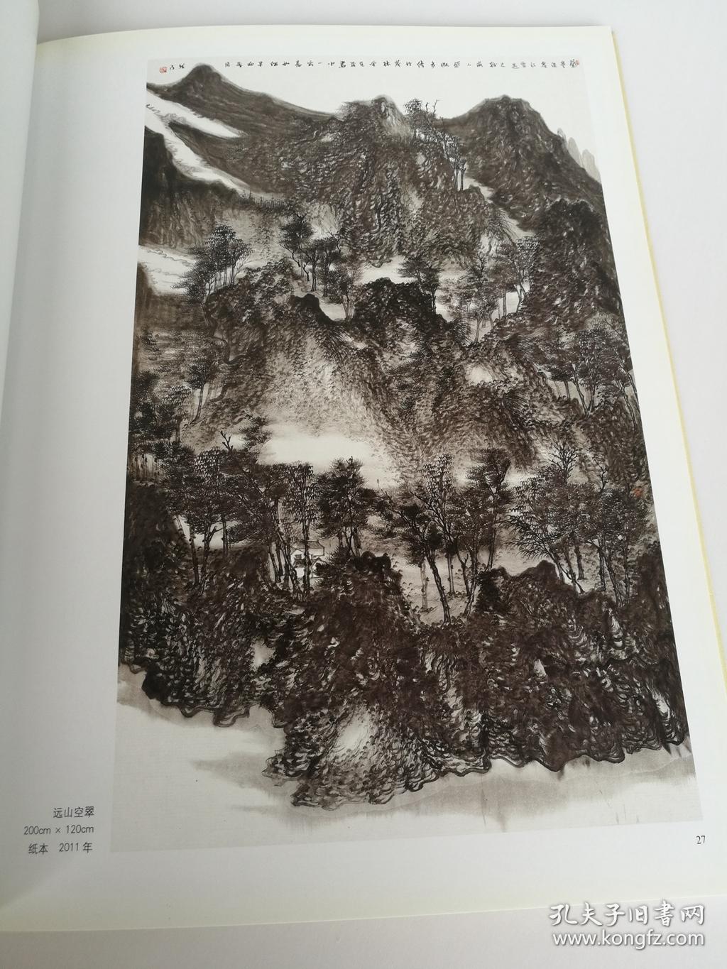 21世纪有影响力画家个案研究 张雨 水墨山水画集 库存