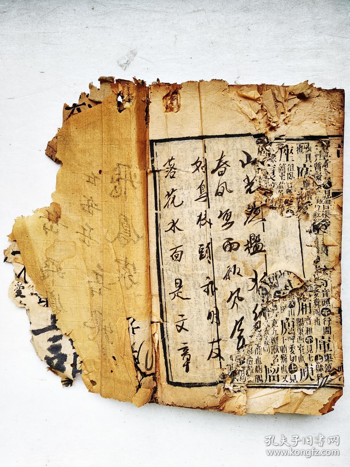 澳门集美集团董事长(2)