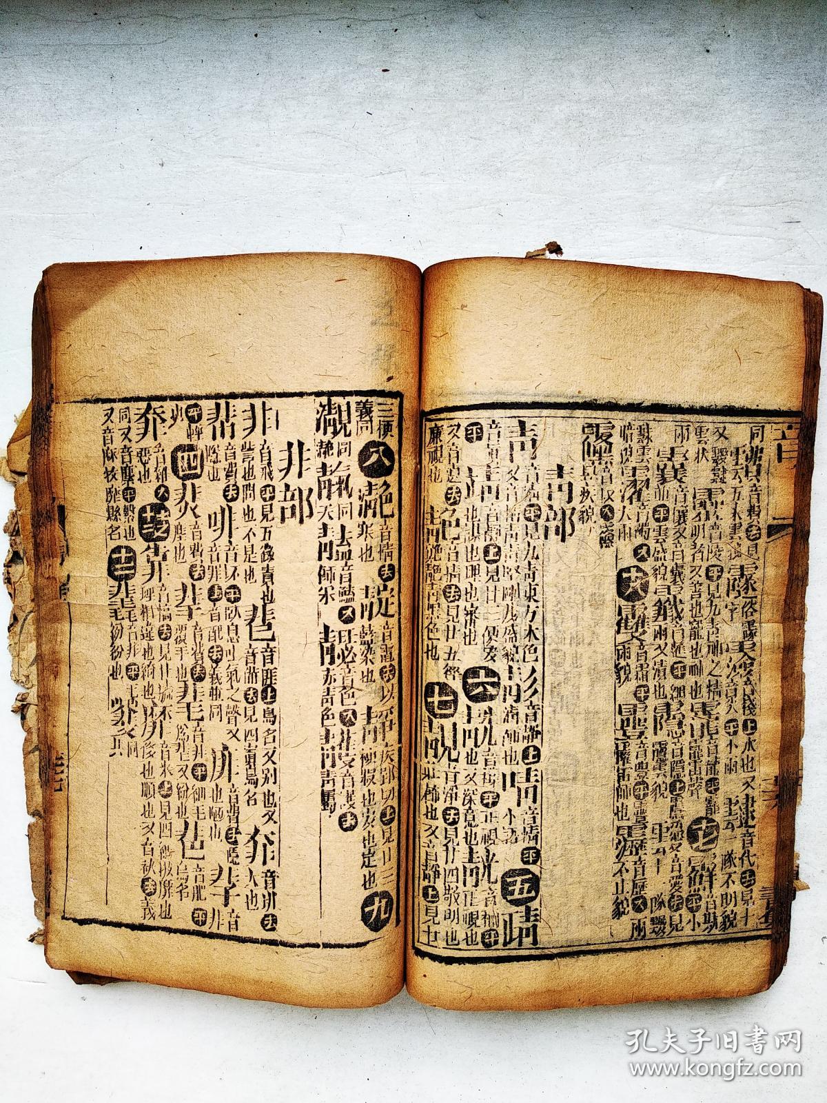 澳门集美集团董事长(3)
