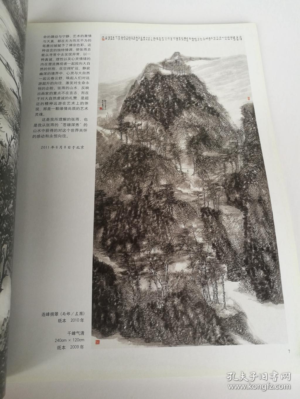 21世纪有影响力画家个案研究 张雨 水墨山水画集 库存