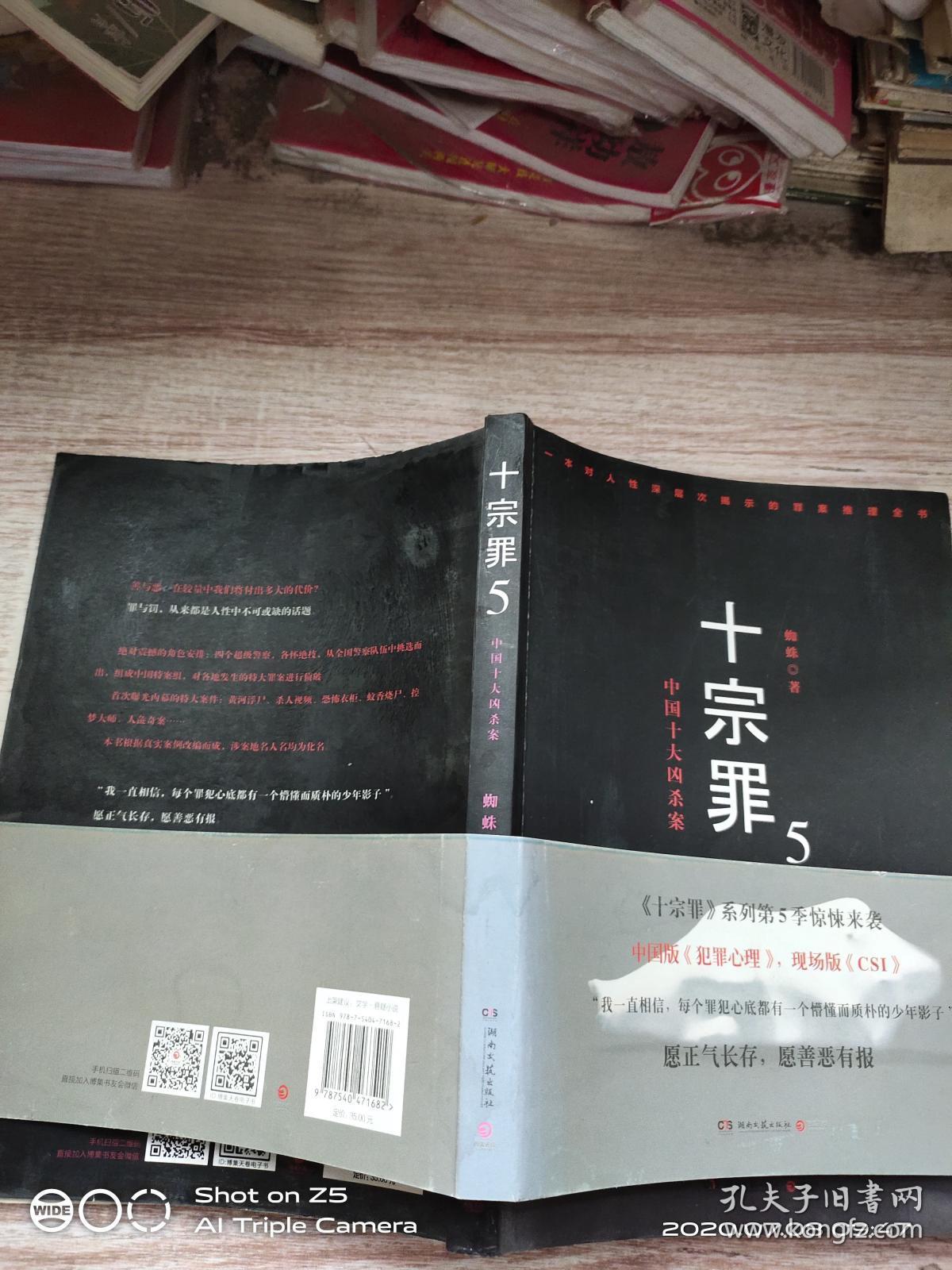 十宗罪5:中国十大凶杀案
