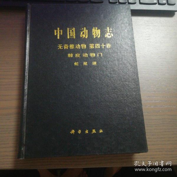 中国动物志无脊椎动物第四十卷棘皮动物门蛇尾纲