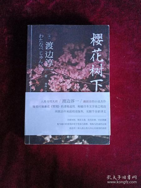 《樱花树下》低价购书_[日]渡边淳一 著_小说_孔网